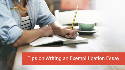 Exemplification Essay Writing