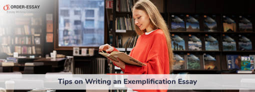 Exemplification Essay writing tips