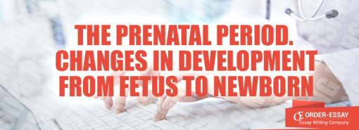 The Prenatal Period. Changes in Development from Fetus to Newborn