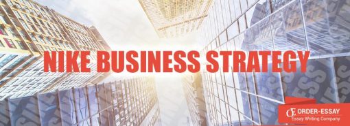 Nike Business Strategy Sample Essay