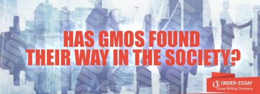 Has GMOs Found Their Way in the Society?