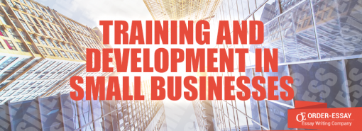 Training and Development in Small Businesses